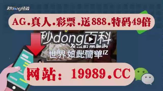 2024今晚澳门开奖结果查询，经典解答解释落实_WP40.26.93