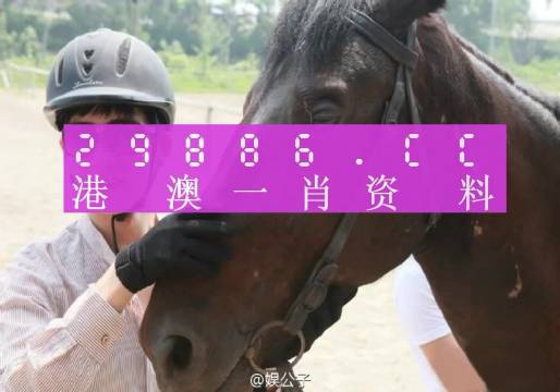 澳门一肖一码必中一肖一码，完美解答解释落实_ZOL55.29.98