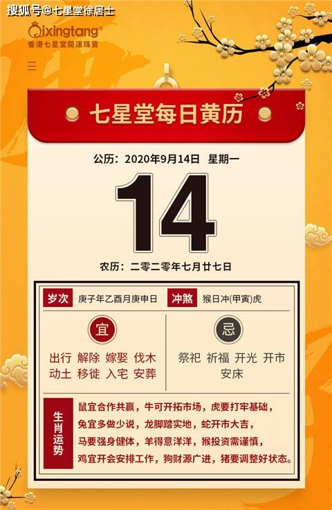 2024新澳门天天开好彩大全，精准解答解释落实_iShop29.36.99