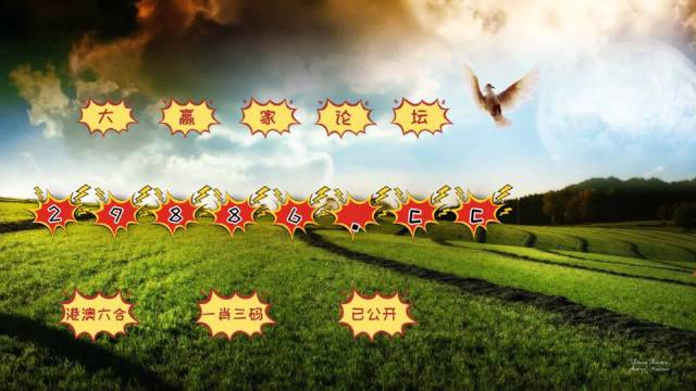 4949澳门今晚上开奖，可靠解答解释落实_VIP36.85.65